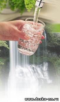 Заключение СЭС, лицензии, утилизация отходов договора, дезинфекция