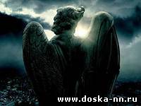 Австрийская компания BCP, проводит набор.