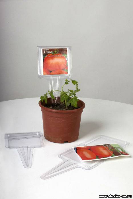 Садовые рамки «Незабудька» - помощник садовода.