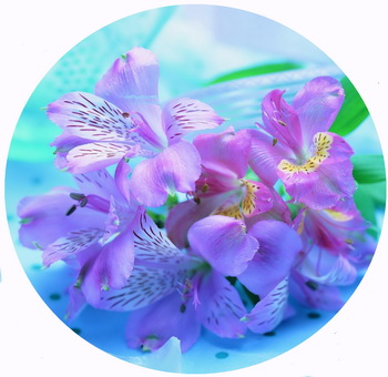 Помощь. Предсказание будущего Одесса