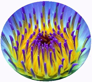 Снимаю порчу, ставлю защиту. Одесса