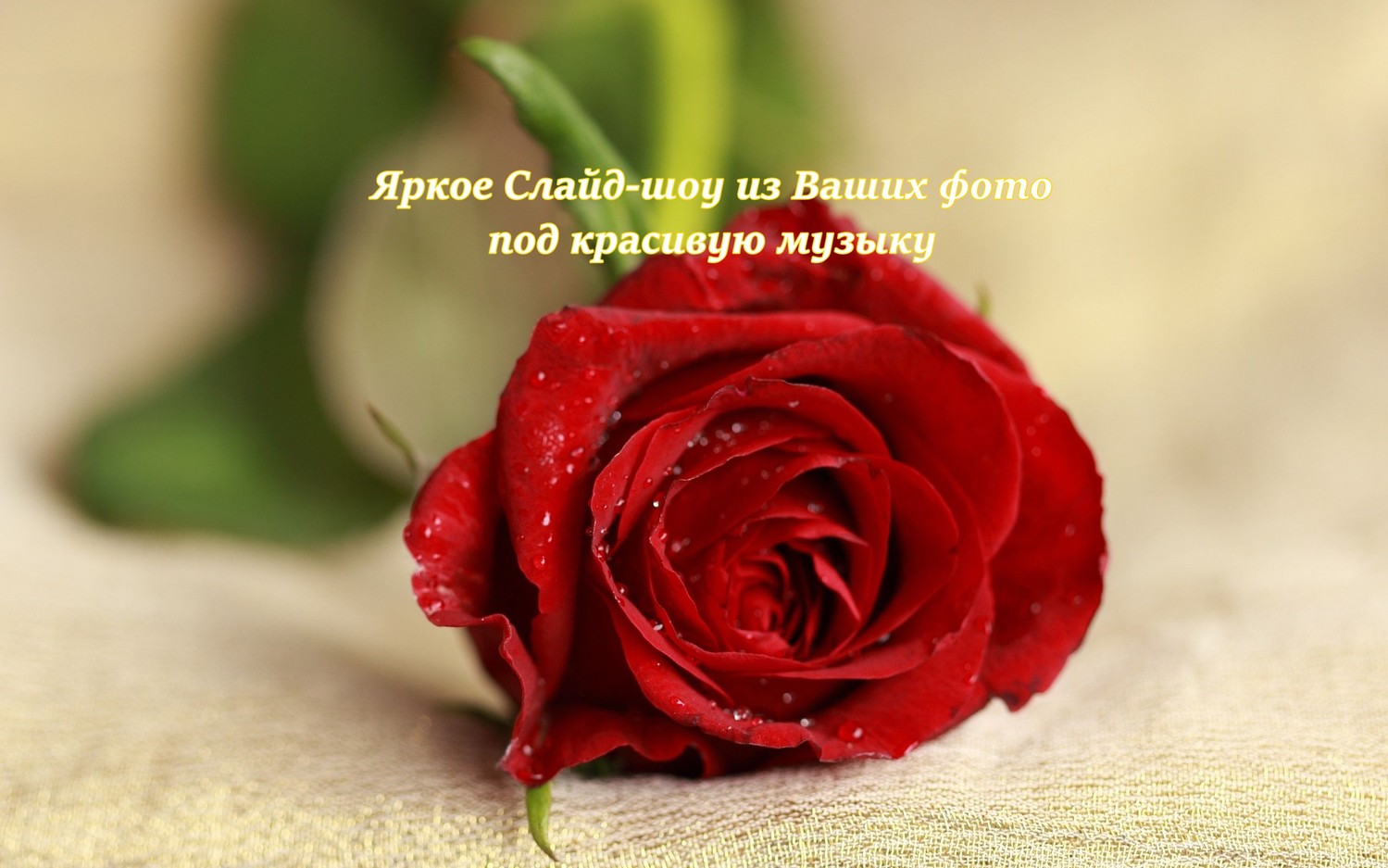 Создайте незабываемое слайд-шоу из ваших любимых фото и видео!